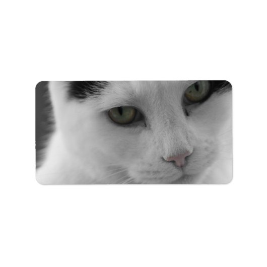 猫の想い ラベル (正面)