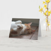 猫の愛考えらしいカード カード (黄色い花)