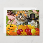猫の感謝祭のカボチャ / 猫のコラージュから ポストカード (正面/裏面)