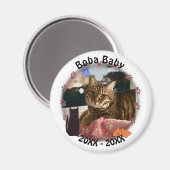 猫の手のプリント写真 マグネット (正面/裏面)