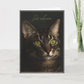 猫の折り畳んだグリーティングカードで体調を整える カード (正面)