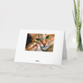 猫の抱擁 カード (裏面)