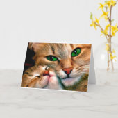 猫の抱擁 カード (黄色い花)