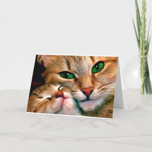 猫の抱擁 カード (正面)