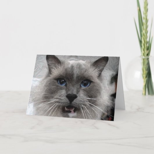猫の挨拶状 カード (正面)