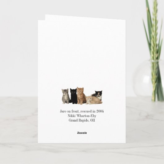 猫の挨拶状 カード (裏面)