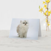 猫の挨拶状 カード (黄色い花)