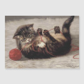 猫の揺りかごは猫の糸遊の玉 (正面)