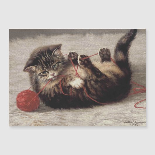 猫の揺りかごは猫の糸遊の玉 (正面)