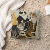 猫の揺りかご クッション (ブランケット)