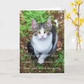 猫の損失 カード (黄色い花)