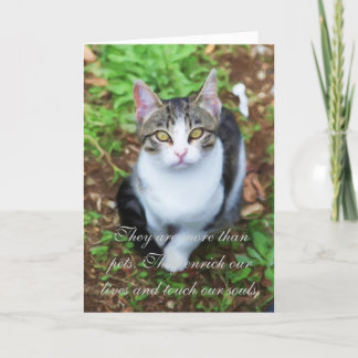 猫の損失 カード