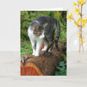 猫の散歩に出る – 子猫グリーティングカード カード (黄色い花)