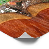 猫の散歩に出る – 子猫ポスター ポスター (角)