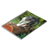 猫の散歩 – Notebook子猫 ノートブック (左側)