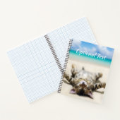 猫の日光浴ビーチ   ノートブック (内部)