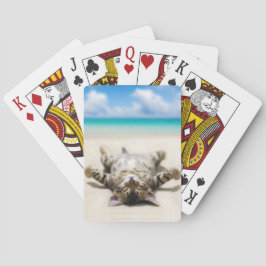 猫の日没ビーチ トランプ