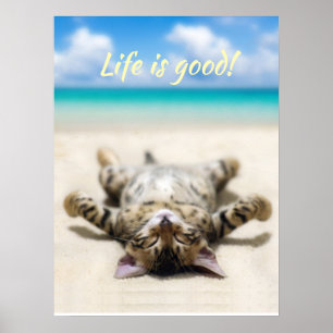 猫の日没ビーチ ポスター