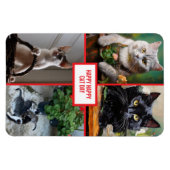 猫の日  マグネット (横)