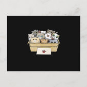 『猫の日』 案内ポストカード (正面)