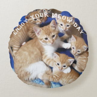 猫の日 猫の写真 円形クッション