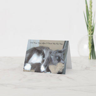 猫の昼寝カード カード