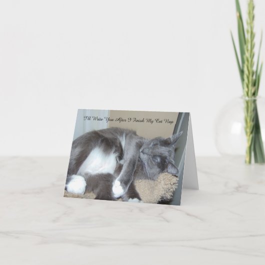 猫の昼寝カード カード (正面)