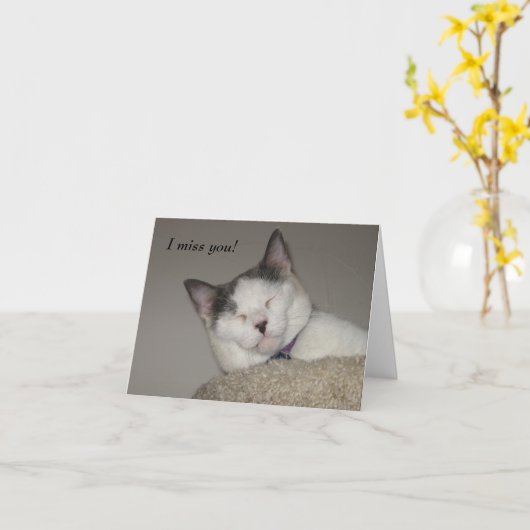 猫の昼寝恋しく思ズユー カード (黄色い花)