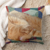 猫の昼寝 クッション (ブランケット)