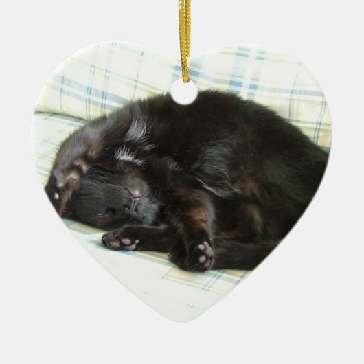 猫の昼寝 セラミックオーナメント (正面)