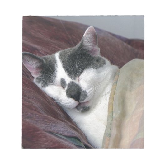 猫の昼寝 ノートパッド (正面)