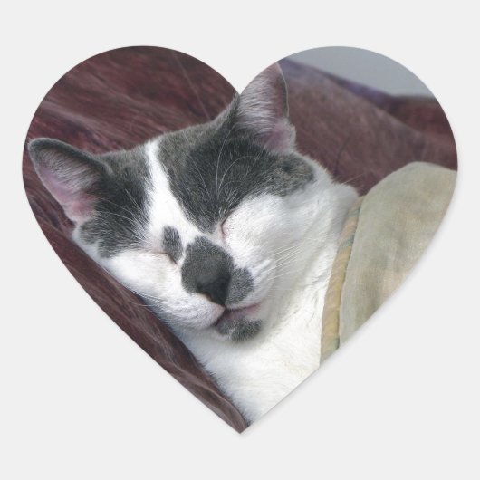 猫の昼寝 ハートシール (正面)