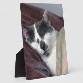 猫の昼寝 フォトプラーク (側面)