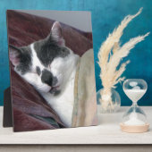 猫の昼寝 フォトプラーク (側面)
