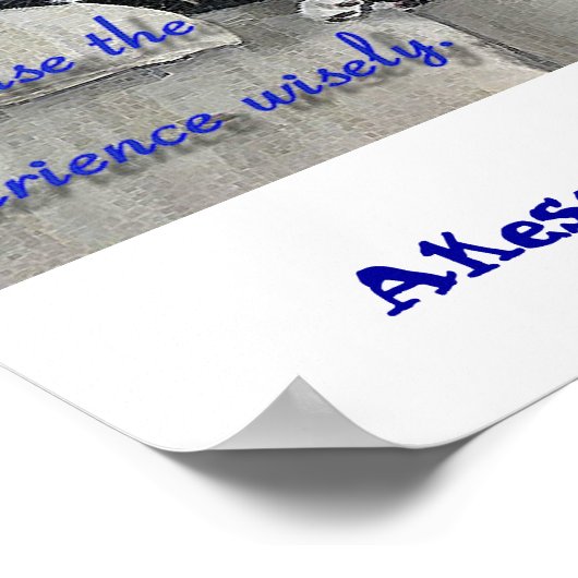 猫の昼寝 ポスター (角)