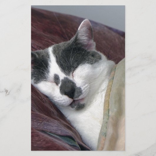 猫の昼寝 便箋 (正面)