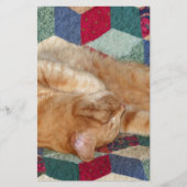 猫の昼寝 便箋 (正面)