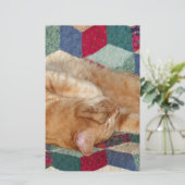 猫の昼寝 便箋 (スタンド正面)