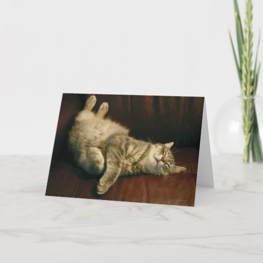 猫の昼寝 – 極端 カード (正面)