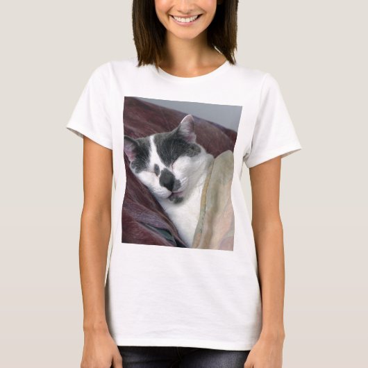 猫の昼寝 Tシャツ (正面)