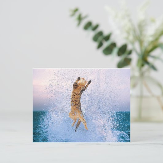 猫の暴走 ポストカード (スタンド正面)