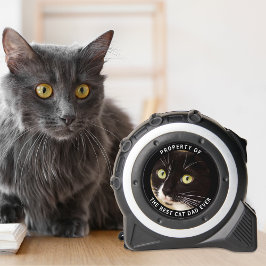 猫の最高のパパの写真 メジャー