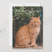 猫の最高のパパへのEverカスタム Photo Flat Card (正面)