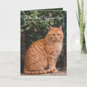 猫の最高のパパへカスタムの文字 シーズンカード (正面)