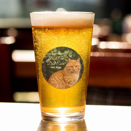 猫の最高のパパへカスタムEver Photo タンブラーグラス