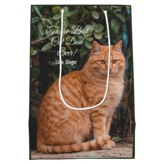 猫の最高のパパへカスタムEver Photo ミディアムペーパーバッグ (裏面)