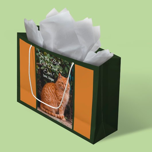 猫の最高のパパへカスタムEver Photo ラージペーパーバッグ
