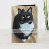 猫の最高のママへの写真とカスタム文字 シーズンカード (正面)