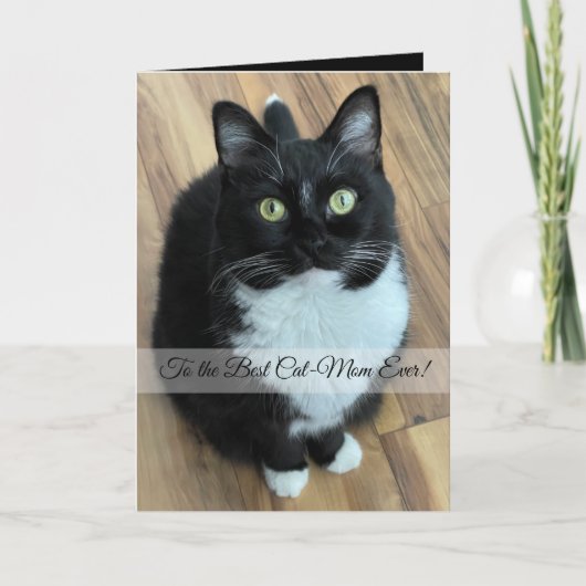 猫の最高のママへの写真とカスタム文字 シーズンカード (正面)