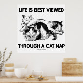 猫の最高の昼寝で生きる姿(3匹) ポスター (キッチン)